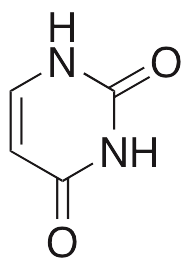 Uracil