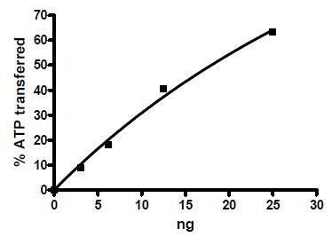 INSR, Insulin receptor, active human recombinant protein