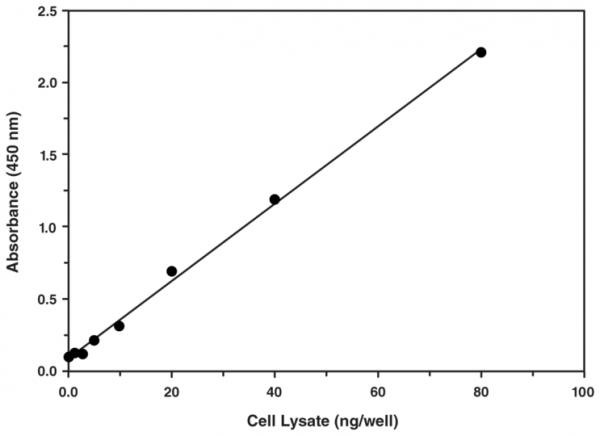 SREBP-2 Transcription Factor Assay Kit