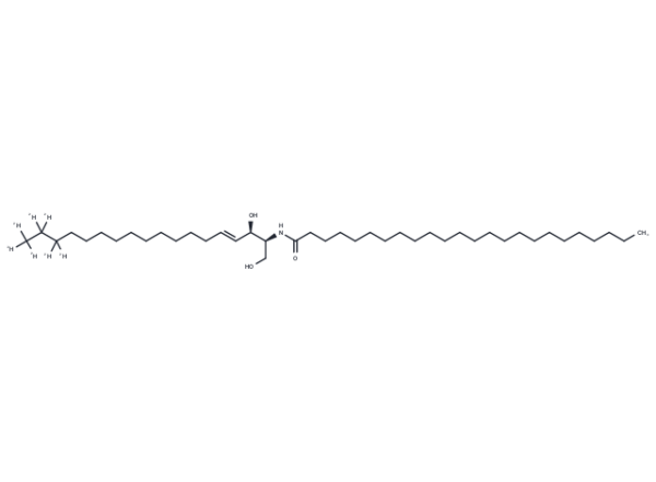 C24 Ceramide-d7