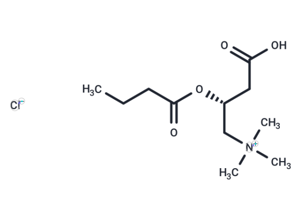 Butyryl-L-carnitine (chloride)