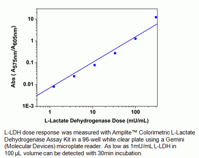 Amplite(TM) Colorimetric L-Lactate Dehydrogenase (LDH) Assay Kit