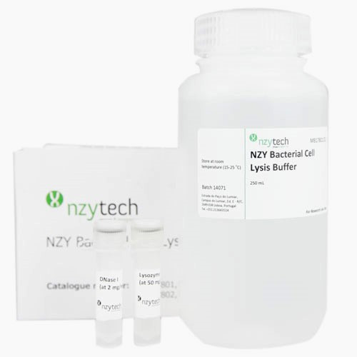 NZY Bacterial Cell Lysis Buffer