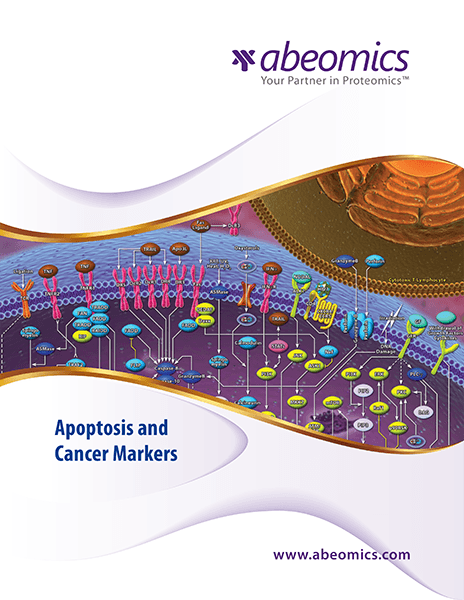 Apoptosis and Cancer Markers