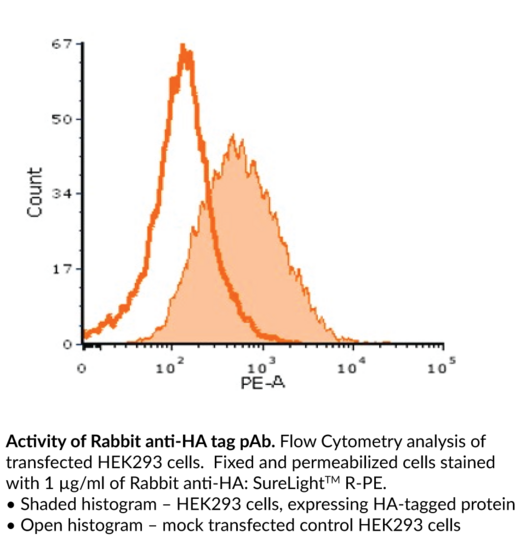 Rabbit Anti-HA IgG: SureLight(TM) R-PE, 100 µg
