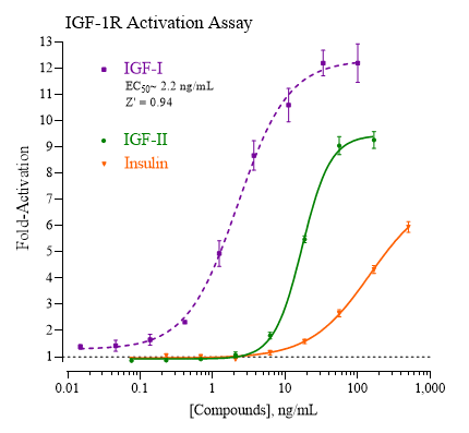 IGF-1R Reporter Assay System (human)