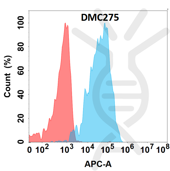 Anti-ALB antibody(DMC275), IgG1 Chimeric mAb