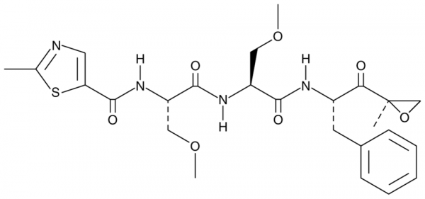 ONX 0912