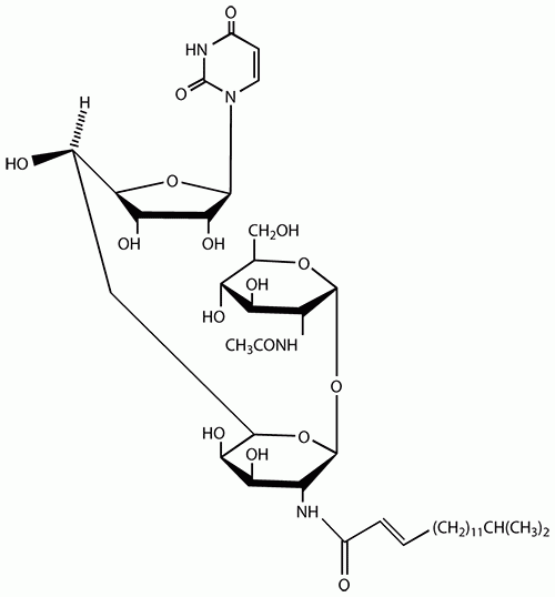 Tunicamycin