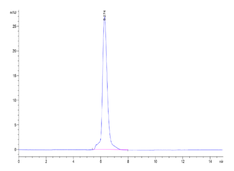 CD45/PTPRC hFc Chimera, Mouse