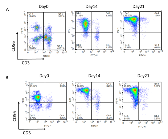 NK Cell Expansion Kit