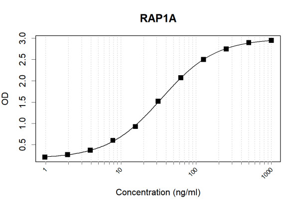 Anti-Human RAP1A Antibody Pair
