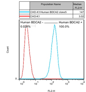 CHO-K1/BDCA2 Stable Cell Line