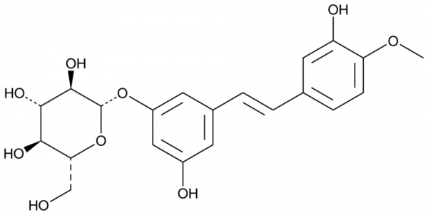 Rhapontin
