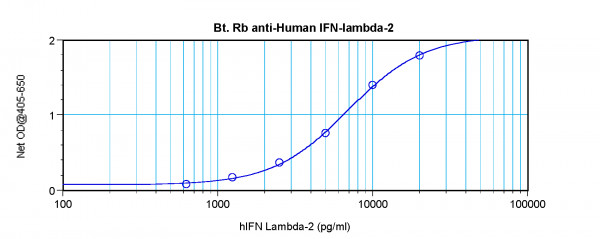 Anti-IFN lambda 2 (Biotin)