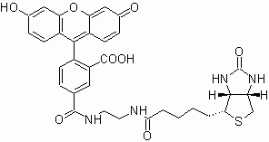 Biotin-4-fluorescein