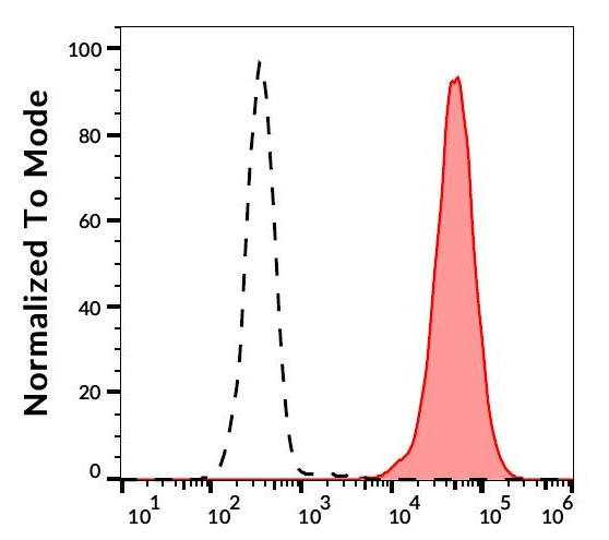 Anti-CD90, clone 5E10 (PE )
