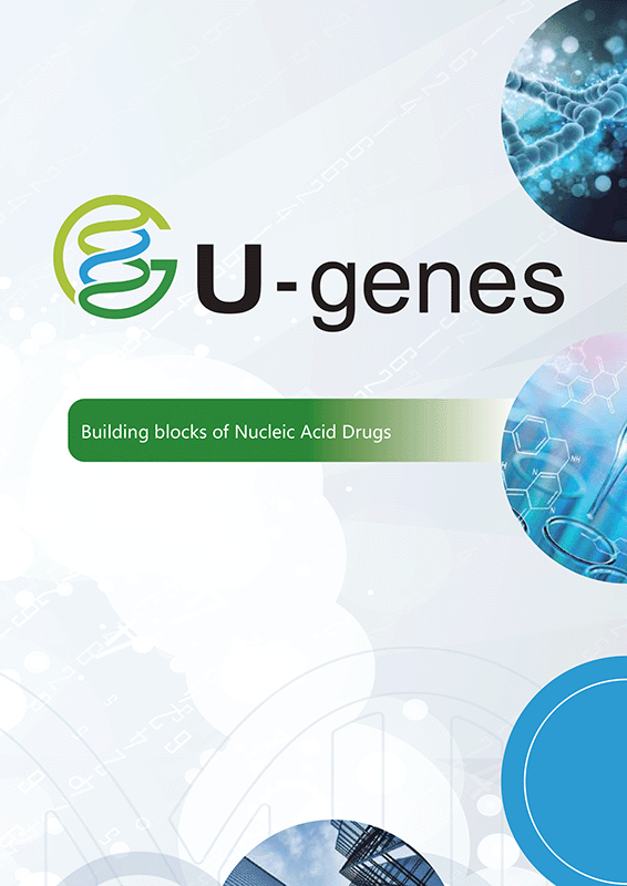 Building Blocks of Nucleic Acid Drugs