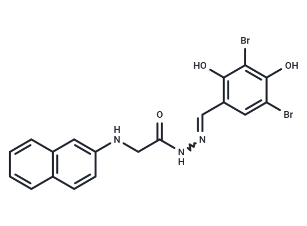 GlyH-101
