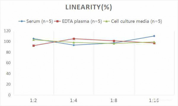 Rat BDNF (Brain Derived Neurotrophic Factor) CLIA Kit