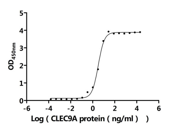 Anti-CLEC9A, recombinant clone 9H7