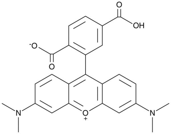 6-Carboxytetramethylrhodamine