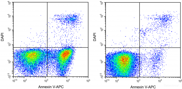 Annexin V-APC / DAPI Apoptosis Detection Kit