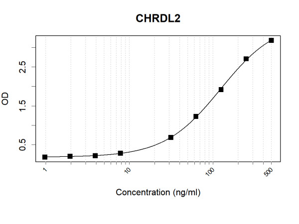 Anti-Human CHRDL2 Antibody Pair
