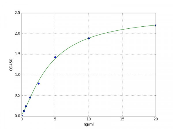 Human Lymphotoxin Beta Receptor / LTBR ELISA Kit