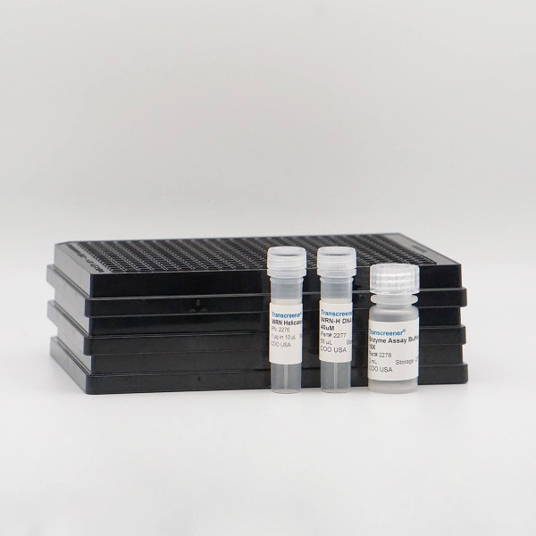 Enzolution(R) WRN Helicase FI Assay System