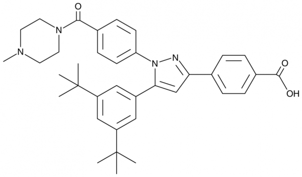 LY2955303