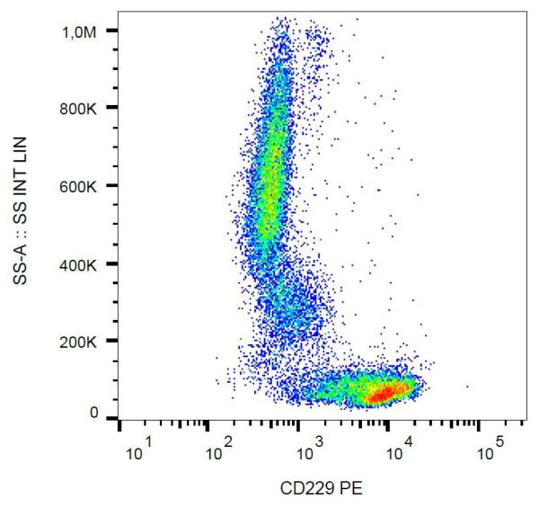 Anti-CD229, clone HLy9.25 (PE)