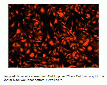 Cell Explorer(TM) Fixable Live Cell Tracking Kit *Red Fluorescence*