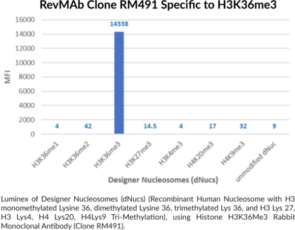 Anti-Histone H3K36Me3 Rabbit (Clone RM491)