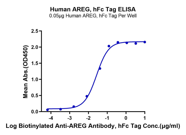 Human AREG Protein