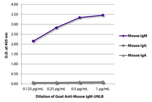 Anti-Mouse IgM [Goat]