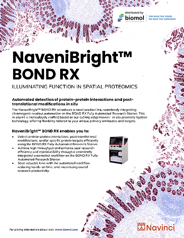 NaveniBright™ BOND RX