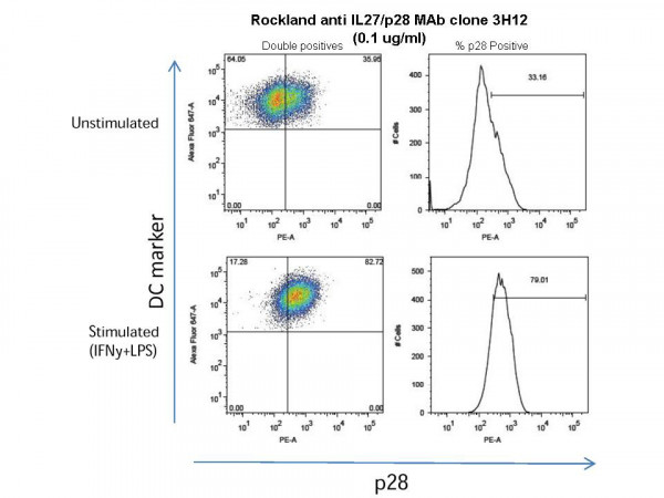 Anti-Mouse IL-27/p28, clone 3H12.F10