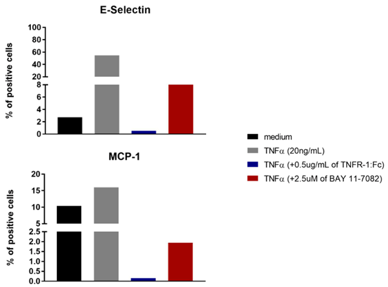 TNF-alpha, Soluble (human, rec.)