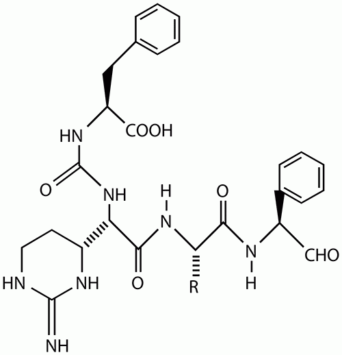 Chymostatin