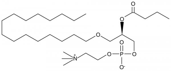 Butanoyl PAF