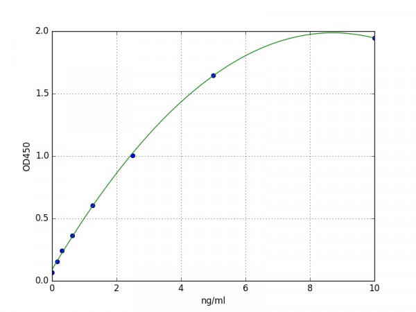 Human MAP1LC3A ELISA Kit