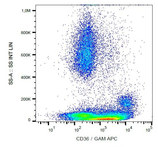 Anti-CD36, clone CB38 (NL07)