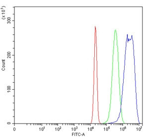 Anti-FRK / FYN-related kinase