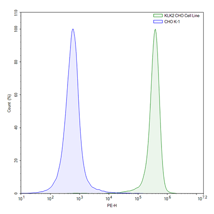 FluoSite Anti-KLK2 Antibody, PE Labeled