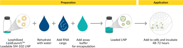 LipidLaunch(TM) SM-102 LNP Kit (Loadable)