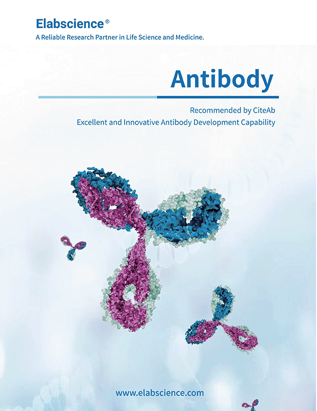 Elabscience Catalogs Resources Biomol GmbH Life Science Shop