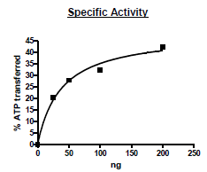 NEK9, active human recombinant Protein
