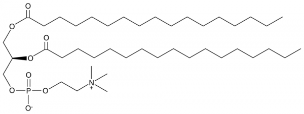 1,2-Diheptadecanoyl-sn-glycero-3-PC