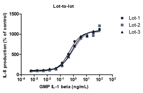 Croyez GMP(R) IL-1 beta, Human